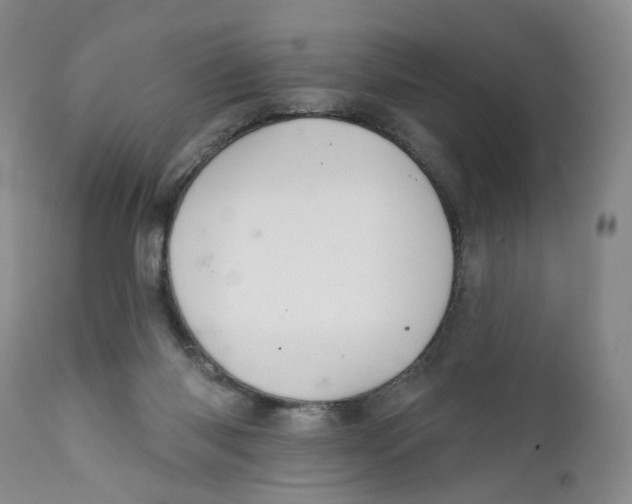 X0000112360118200909101307