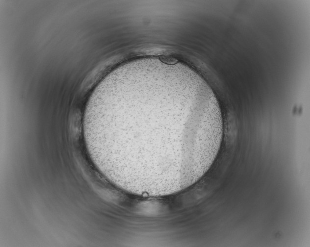 X0000112360119200909101307