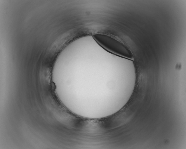 X0000112360121200909101307