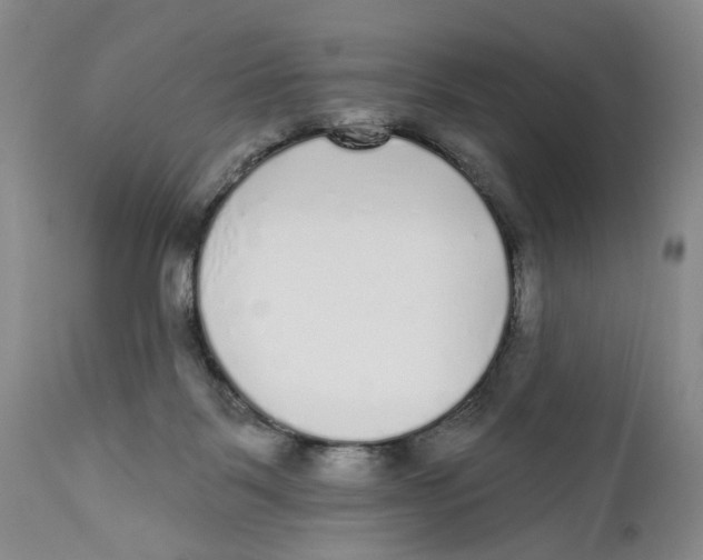 X0000112360123200909101307