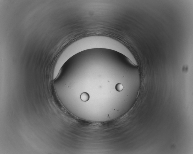 X0000112360124200909101307