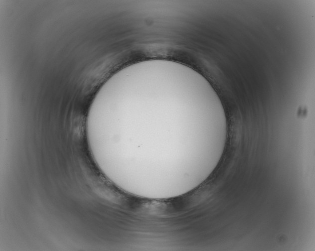 X0000112360125200909101307