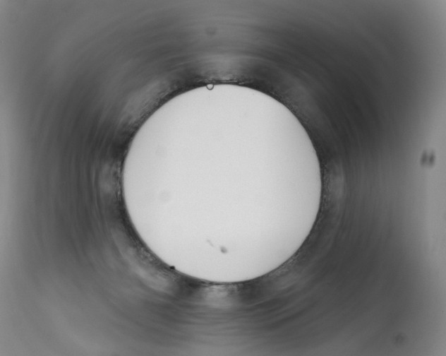 X0000112360126200909101307