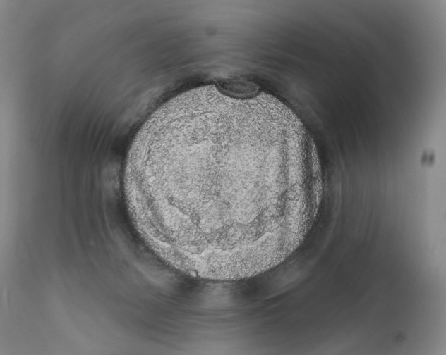X0000112360127200909101307