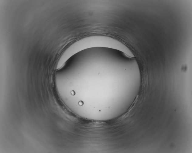 X0000112360128200909101307