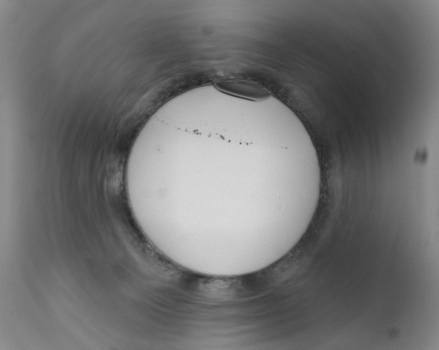 X0000112360129200909101307