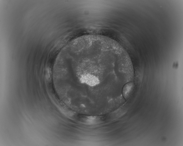 X0000112360130200909101307