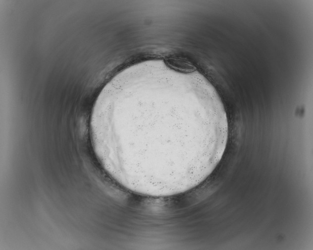 X0000112360131200909101307