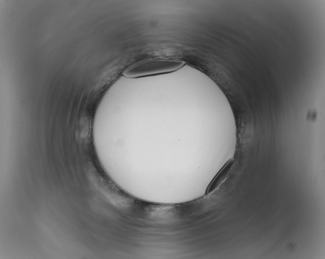 X0000112360132200909101306