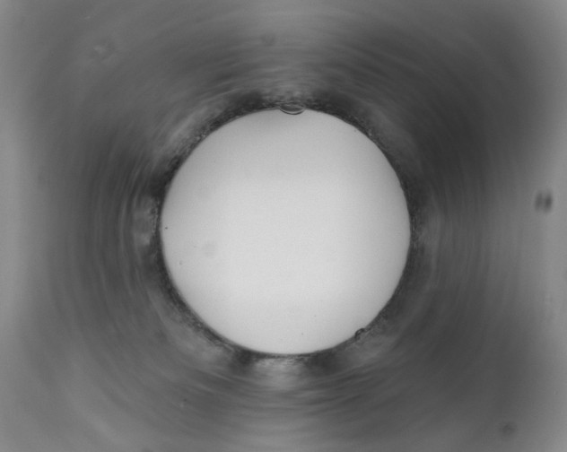 X0000112360133200909101306