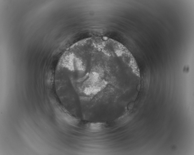 X0000112360134200909101306