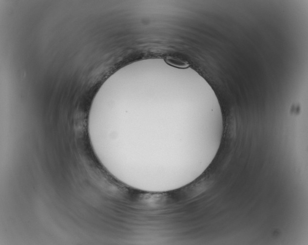 X0000112360135200909101306