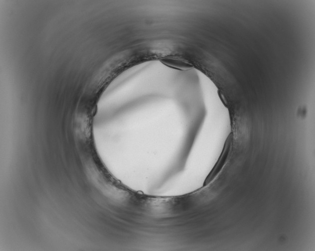 X0000112360136200909101306
