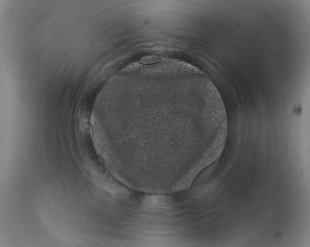 X0000112360137200909101306