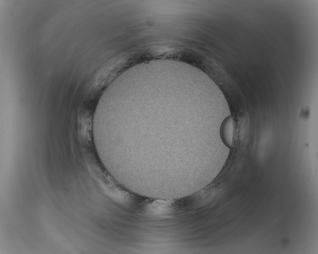 X0000112360138200909101306
