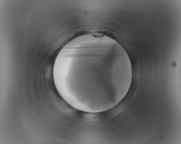X0000112360139200909101306