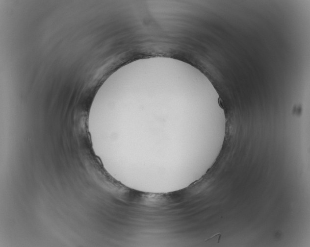 X0000112360141200909101306
