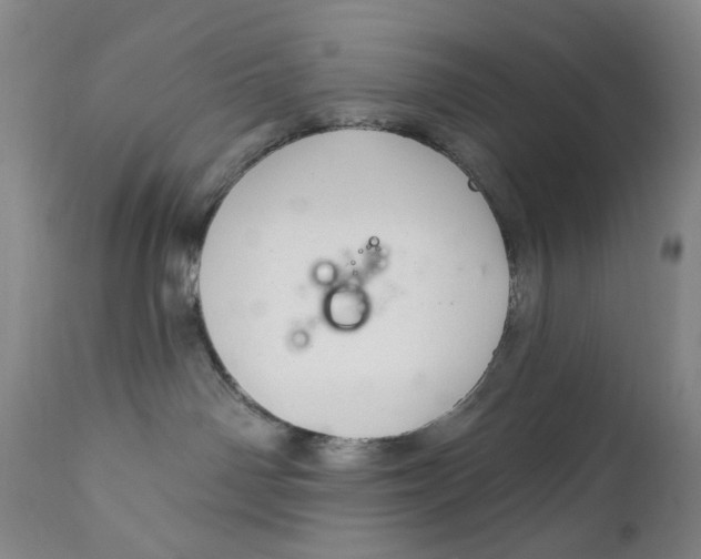 X0000112360142200909101306