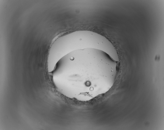 X0000112360144200909101306