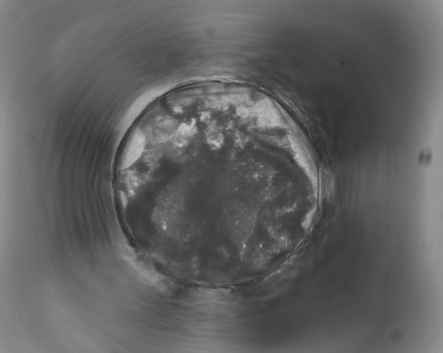 X0000112360147200909101305