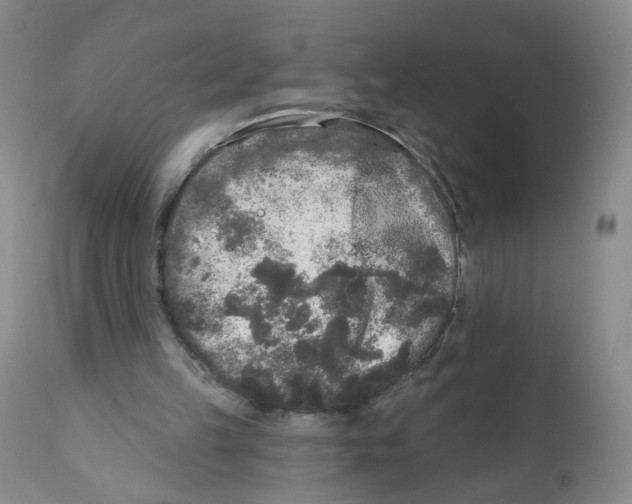 X0000112360149200909101305