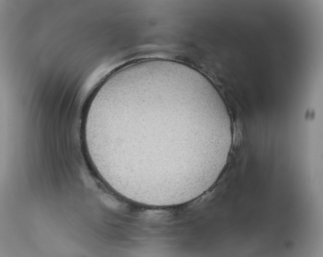 X0000112360150200909101305