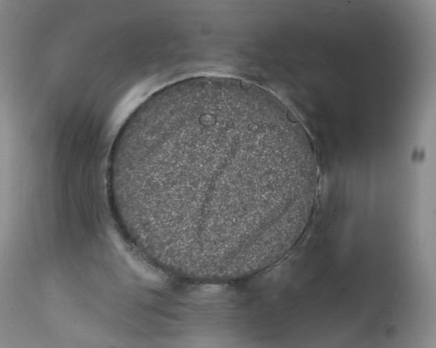X0000112360151200909101305