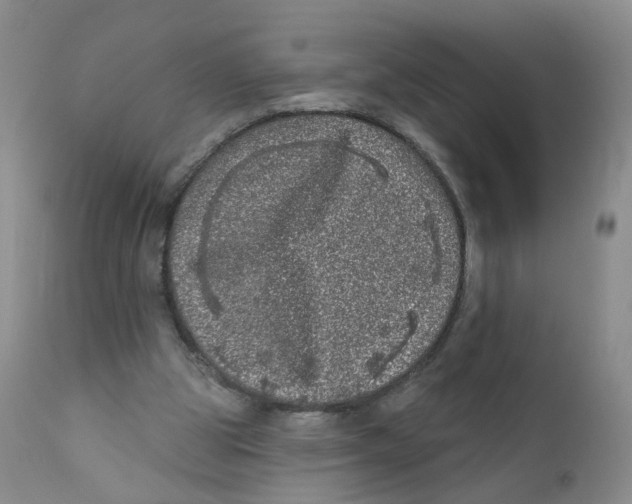 X0000112360153200909101305