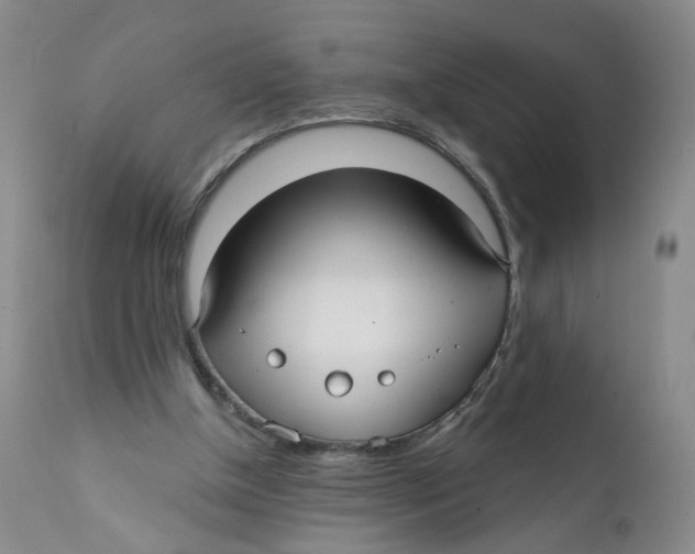 X0000112360154200909101306
