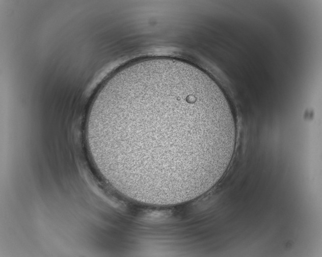 X0000112360155200909101306