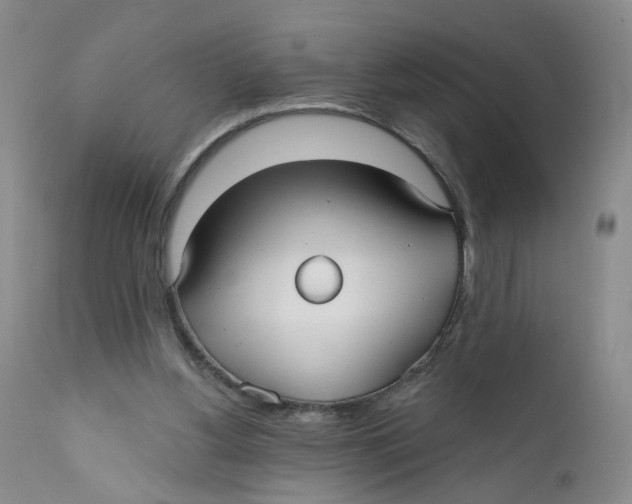 X0000112360156200909101306