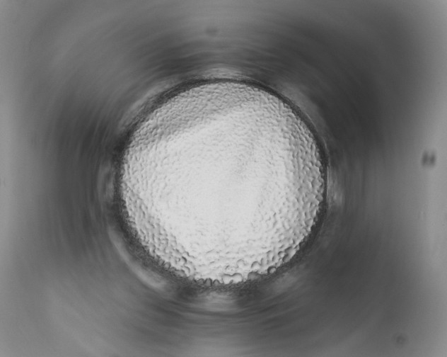X0000112360157200909101306