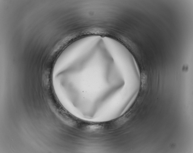 X0000112360158200909101306