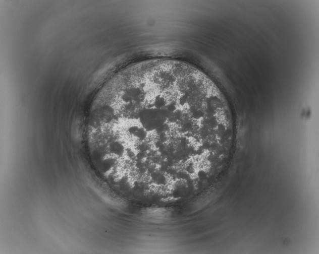 X0000112360161200909101306