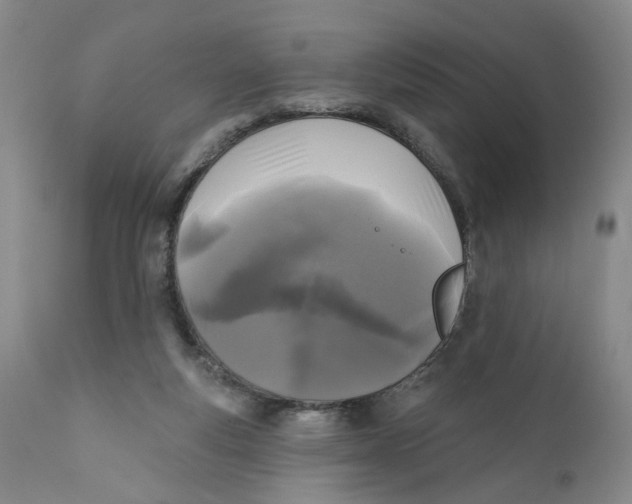 X0000112360163200909101306