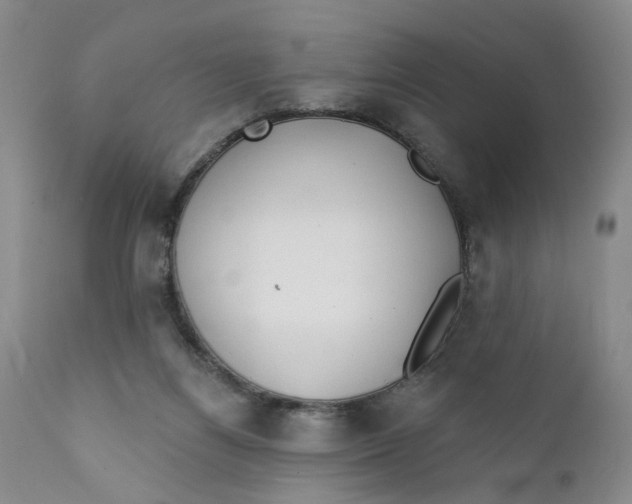 X0000112360164200909101306
