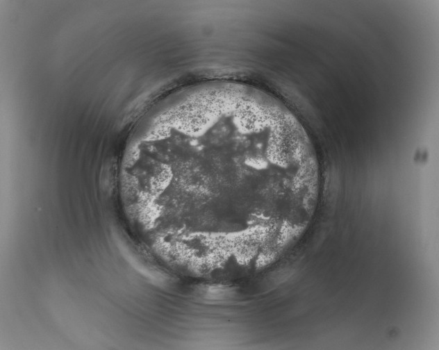 X0000112360165200909101306