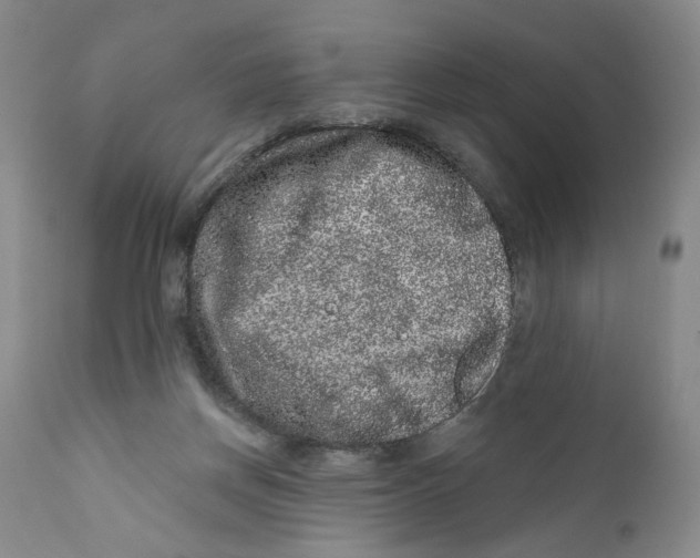 X0000112360166200909101306