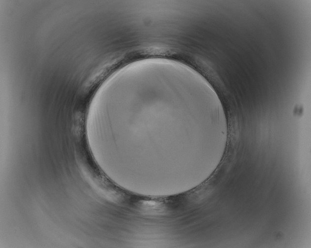 X0000112360167200909101306