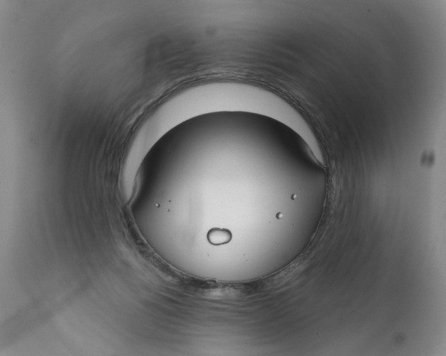 X0000112360168200909101306