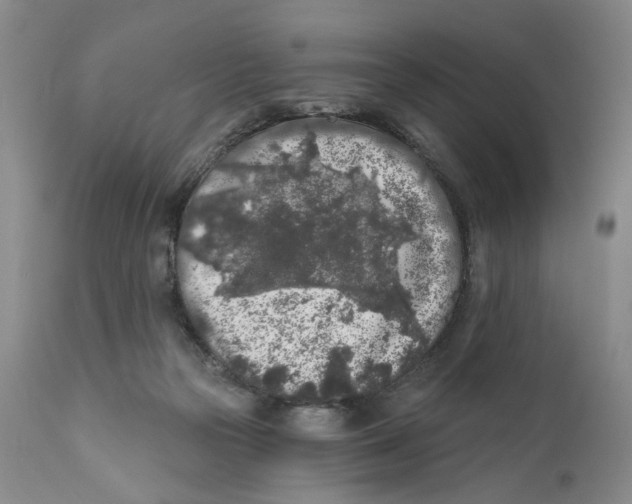 X0000112360169200909101306