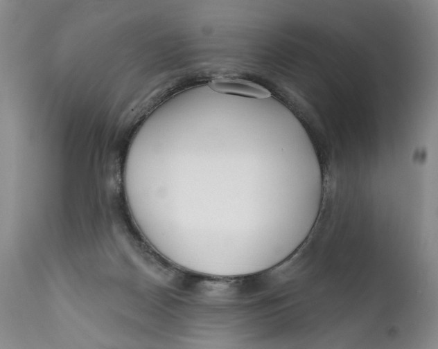 X0000112360170200909101306