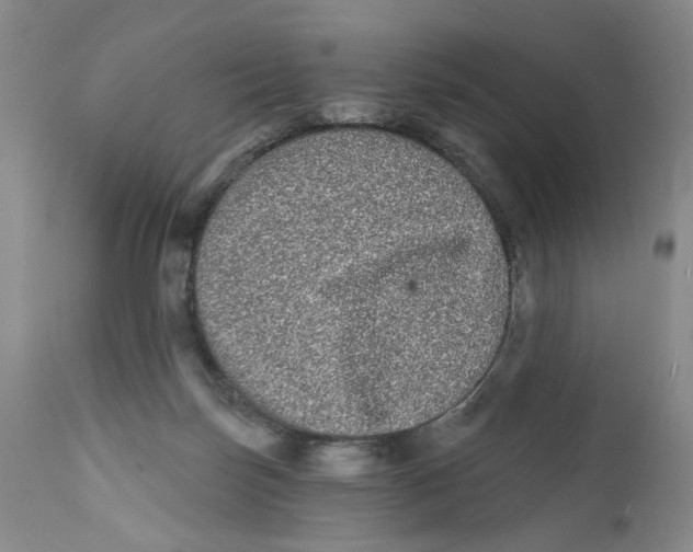 X0000112360171200909101306