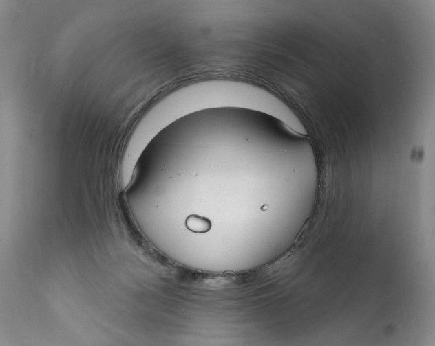 X0000112360172200909101306