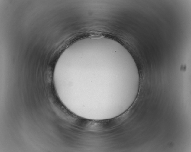 X0000112360174200909101306