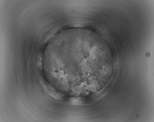 X0000112360175200909101306