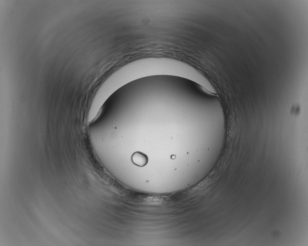 X0000112360176200909101306