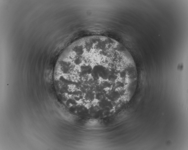 X0000112360177200909101306