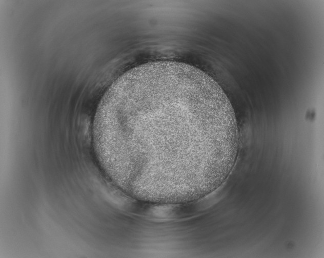 X0000112360178200909101306