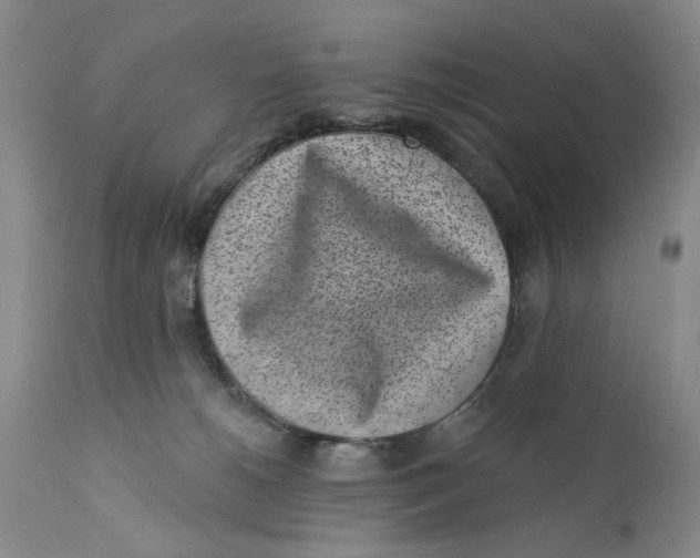 X0000112360180200909101306